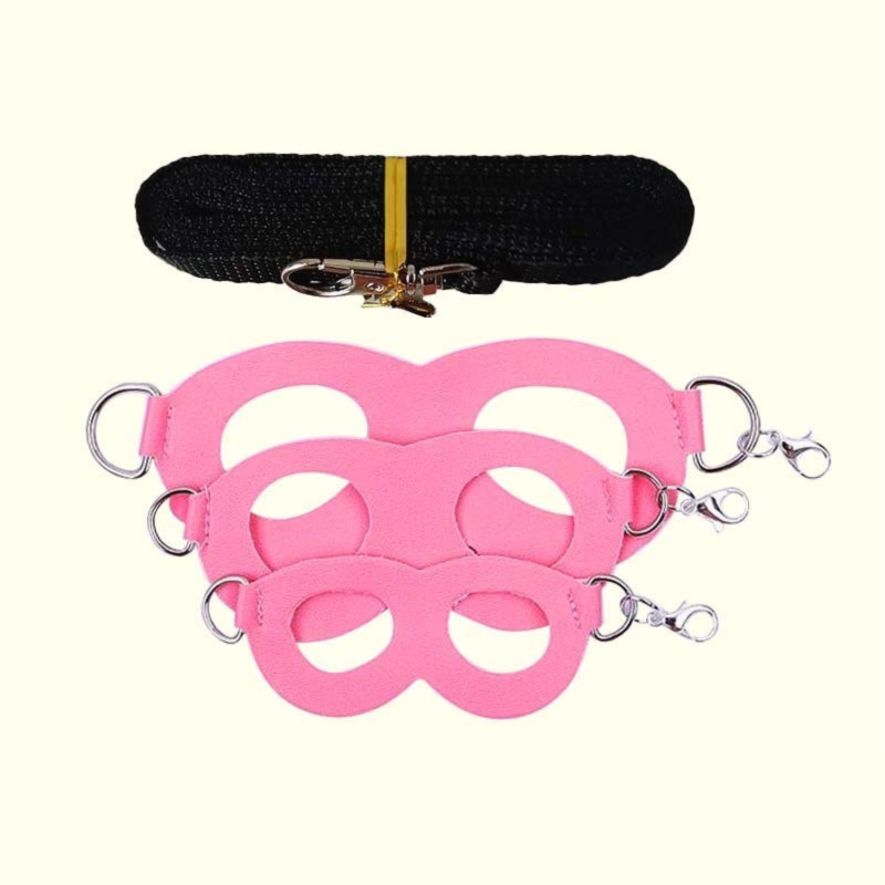 2-Pack Pink Small Mammal Harness Set – 6 Pcs (S/M/L ×2) + 2×1.5m Leashes for Secure Outdoor Handling