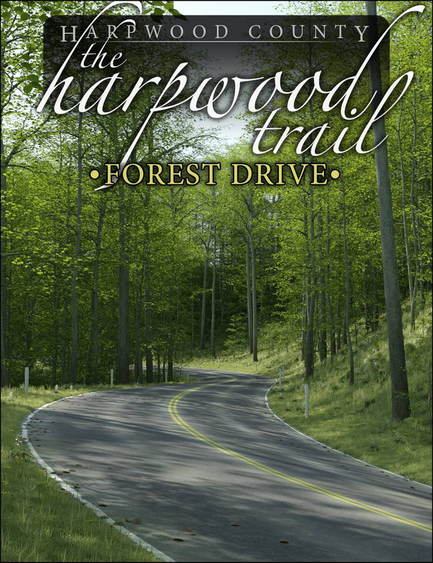 The Harpwood Trail - Forest Drive