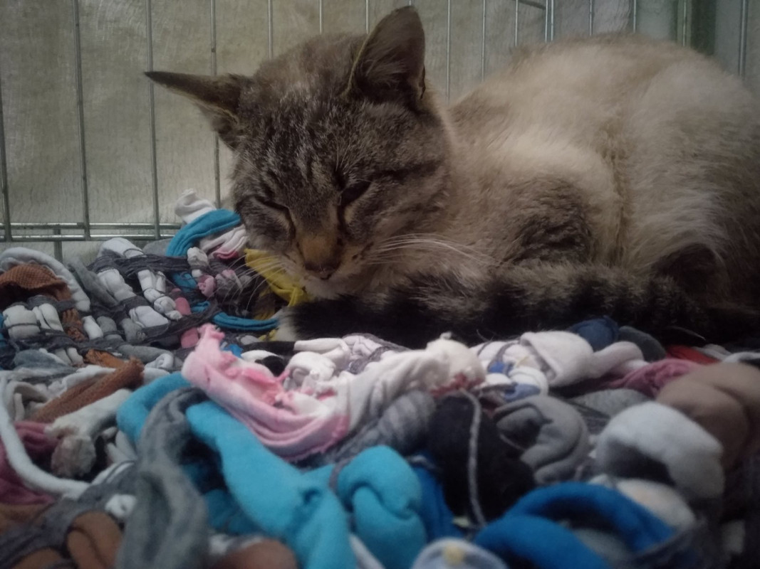 C3984F62-B15F-466B-B2B7-8D21BCEAE366