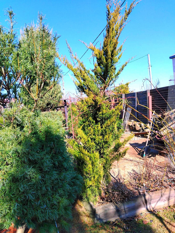 IMG-3353b4fceae180c756aeb6ad108a971e-V~2