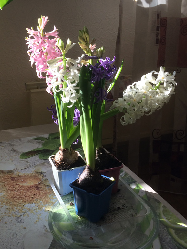 AE951DD4-55BD-4D01-8203-889E8EABF08F