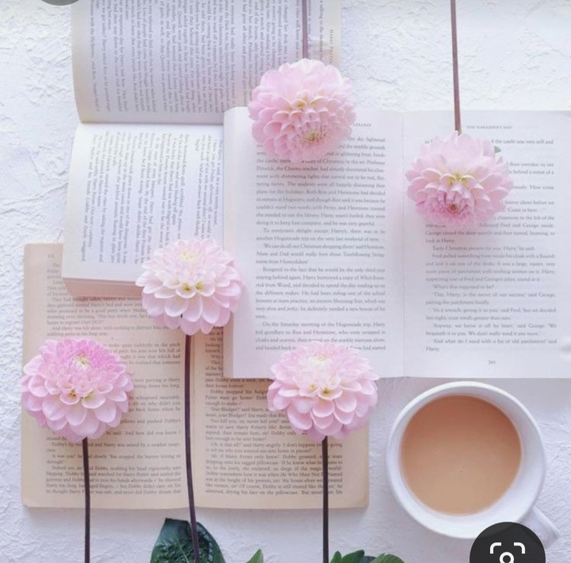 Screenshot_20230710_225307_Pinterest