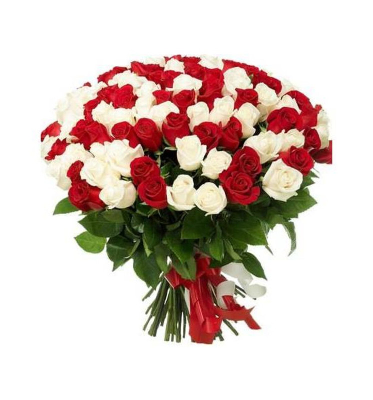 101 Roses (101 trandafiri albi si rosii)