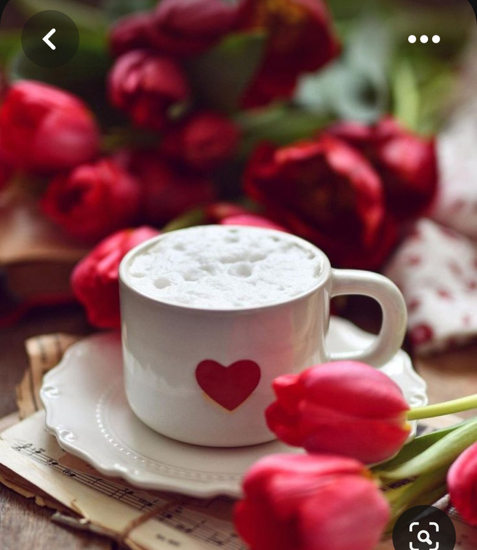 Screenshot_20230623_225814_Pinterest