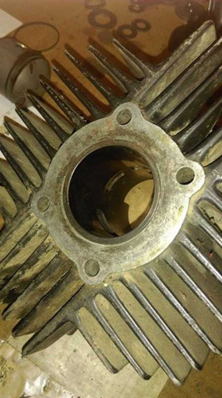 12053105_10208019920719845_838591114_n