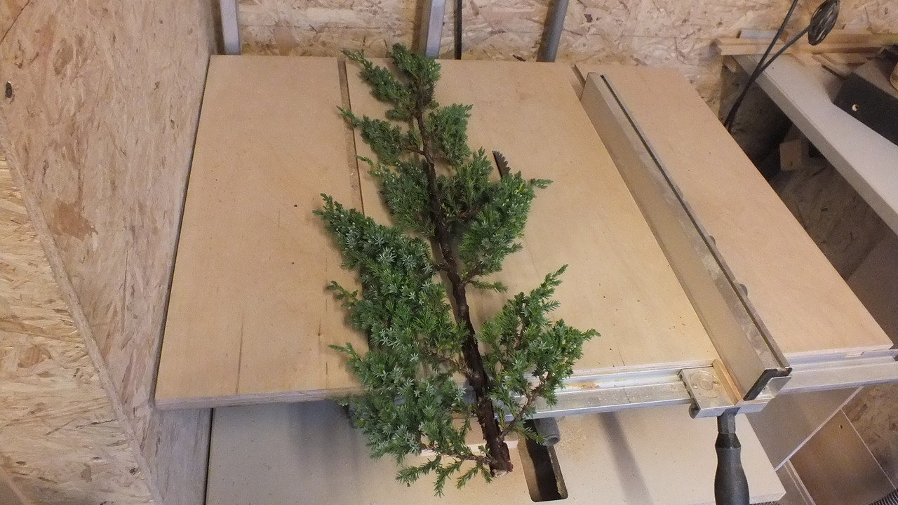 Gehölzrand für Module (16)