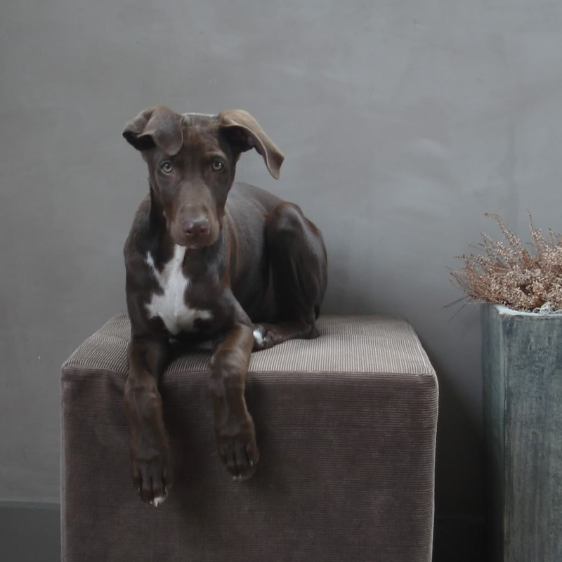 30AAC4E6-2E58-44DA-8163-58D07FCAEF3F