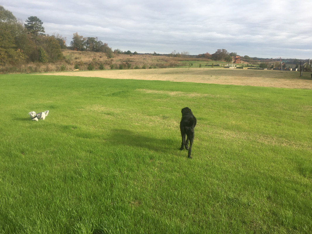 3D3F2E75-2EC3-40D1-A9D1-944201F48701