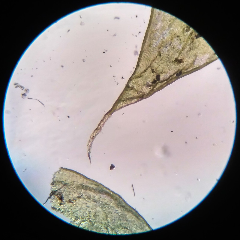 IMG 20250616 205400 HDR