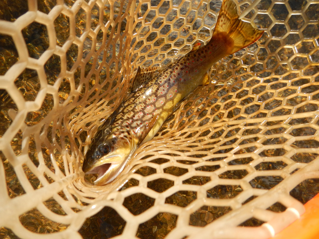 A4A9F445-3EB3-46E3-B004-0B23608A90FF