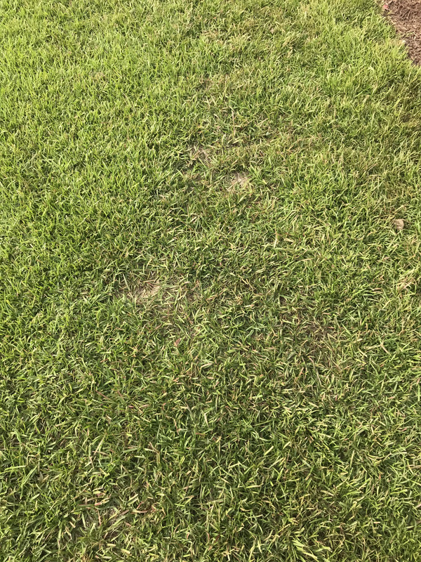 8D3D5D0D-1FFD-4B33-BBE2-E99E2575A26B