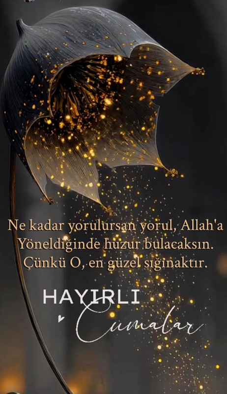 Whats App Image 2026 04 03 at 07 57 42