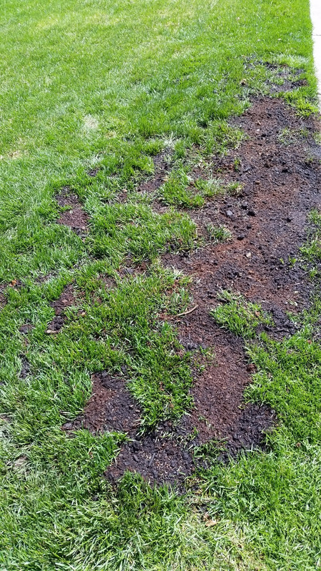 Front_repair_04-11-15