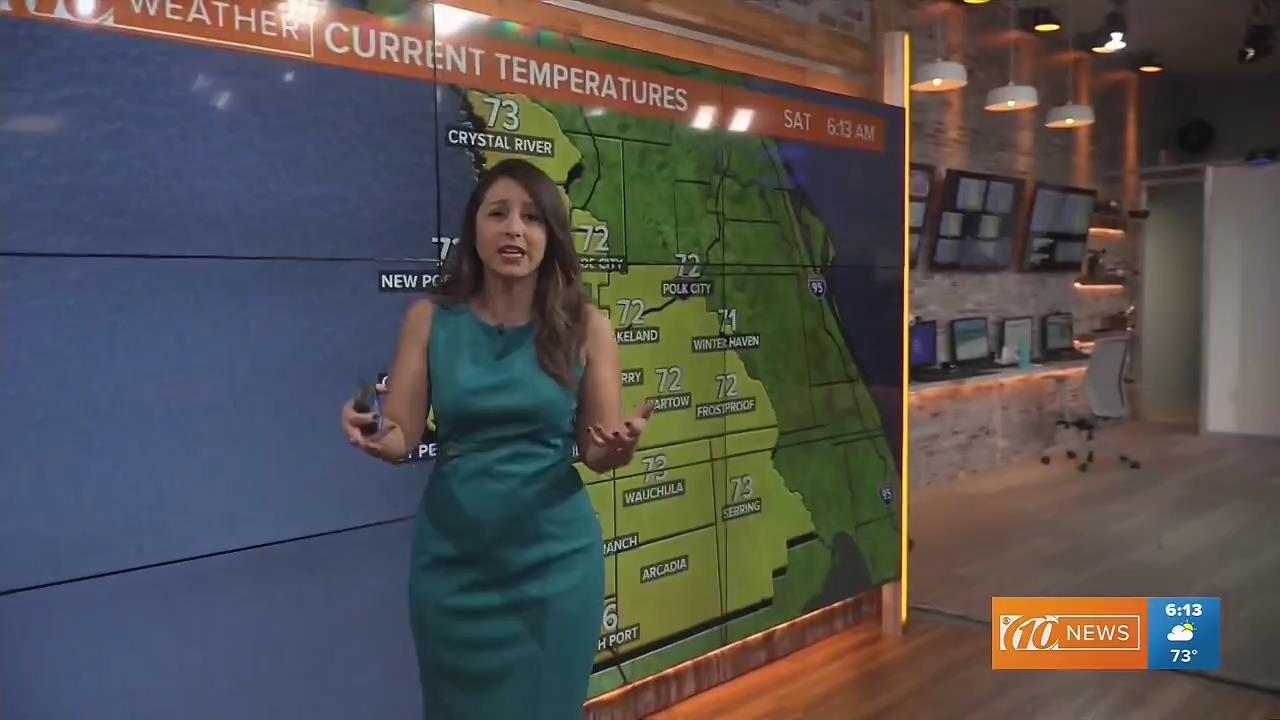 04 January - 11.00.00 - 10 News Brightside. Local news, sports a