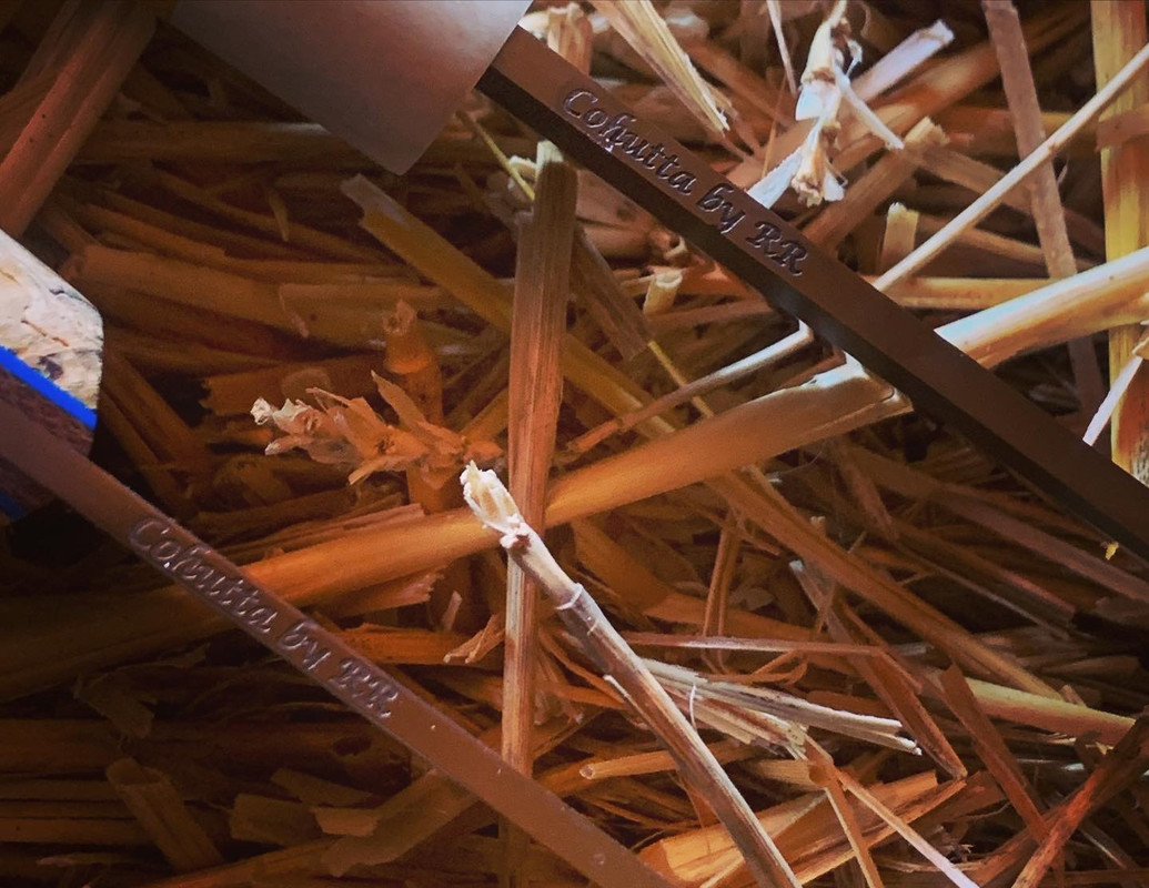 62C1E90B-601C-4CCF-BC84-B00341F60C4B