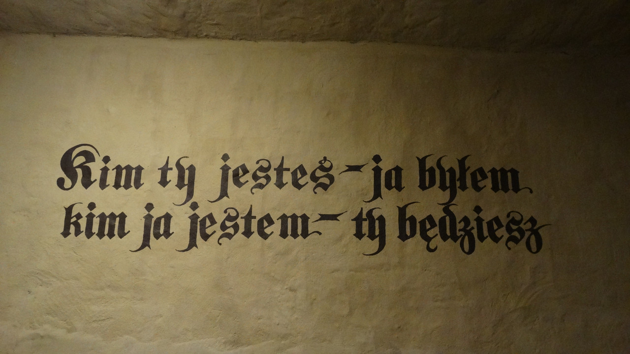 02.23 - DSC09927 (Czesio1)