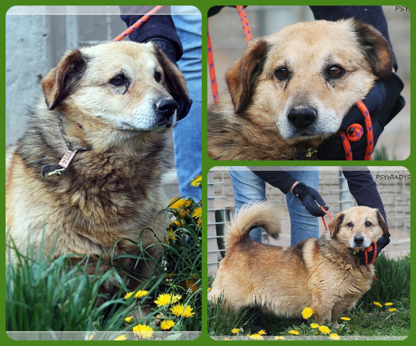 BeFunky-collage (15)