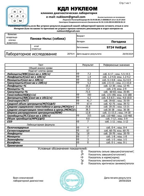 Whats-App-Image-2024-10-10-at-15-54-33-1