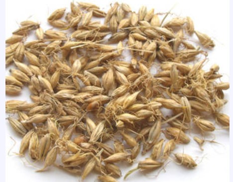 Скриншот 28-07-2022 131806