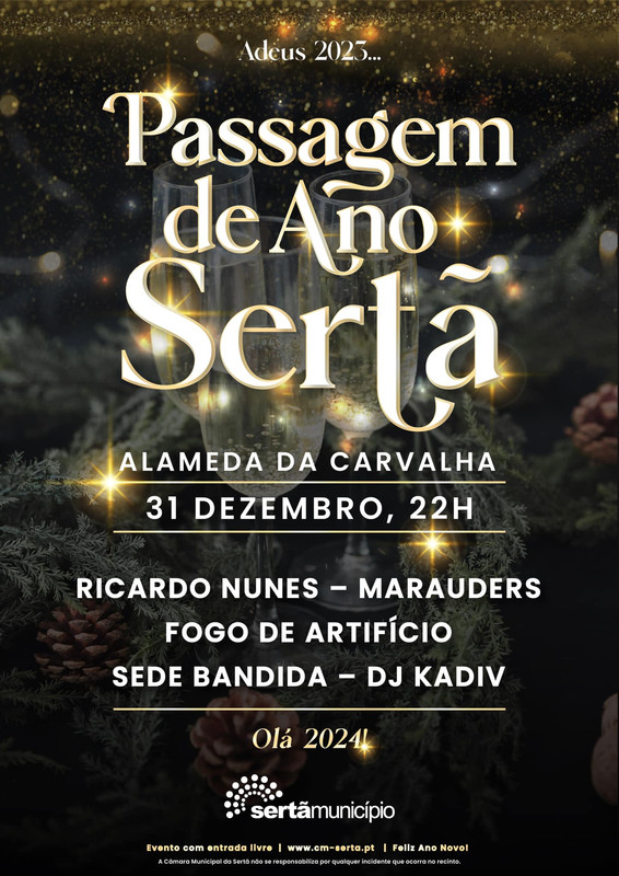 Toupeiras - Passagem de Ano 2024 - Sertã