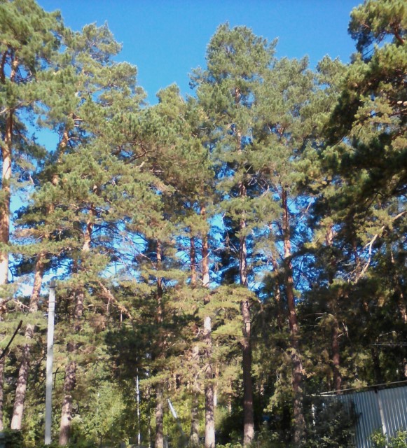 Вид на Запад [1600x1200]