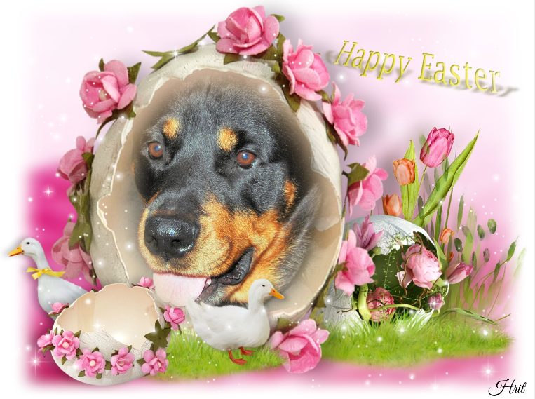 ( a 1 a Pâques Sally Hommage