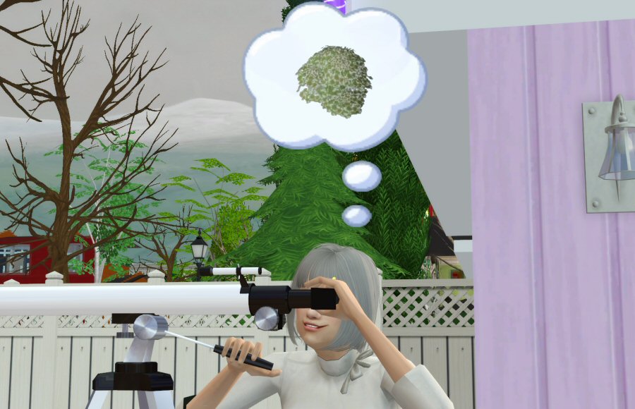 Sims2-EP9-RPC-2021-04-02-15-32-52-73
