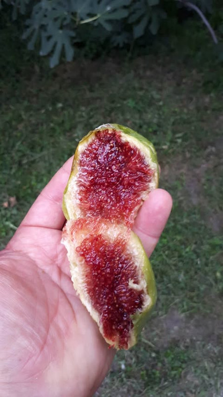 317095413_666883724768734_5257907228850633987_n