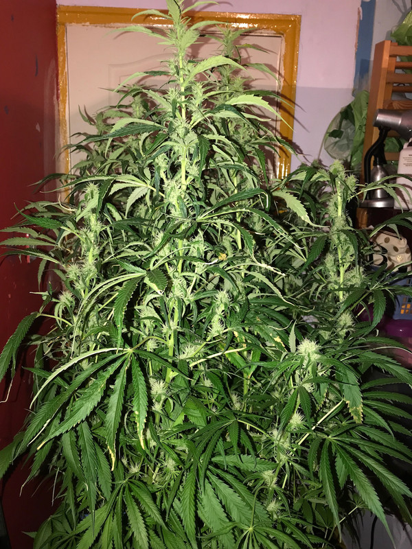 C9BE96B5-2E7F-4BFC-89C3-23DBD4269D51