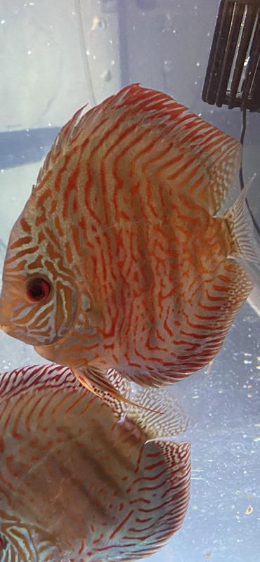 4A58EBDE-4FBC-4AAC-810F-CCCEC49D5392