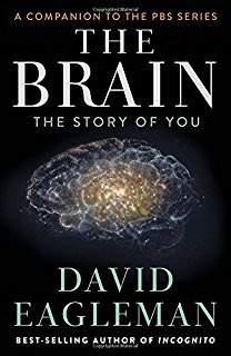  The.Brain.with.David.Eagleman
