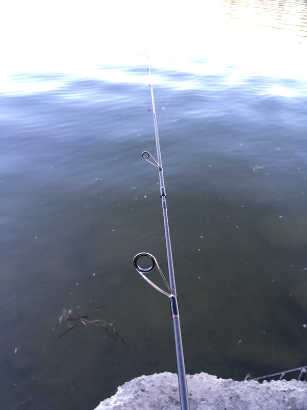 59930246-5D9E-4B58-8FEE-354C50C2F090