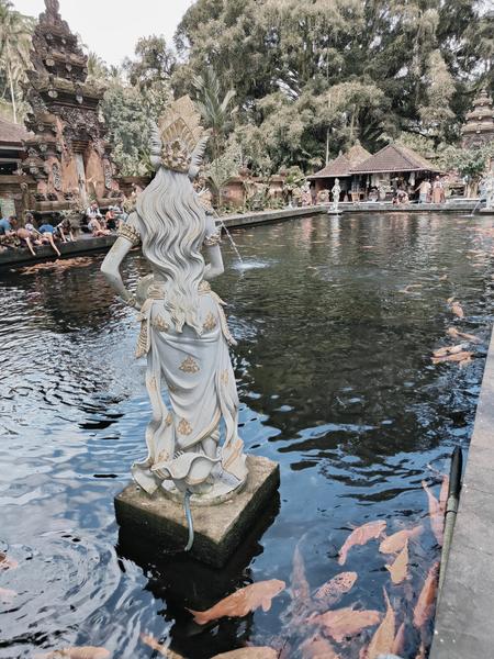 6 Aviones, 3 barcos y 2 trenes, empezando en Estambul y terminando Kuala Lump - Blogs de Indonesia - TERCERA PARADA: BALI (49)