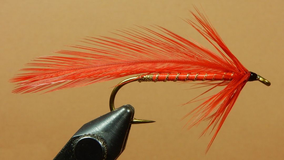 Firefly-1080.jpg