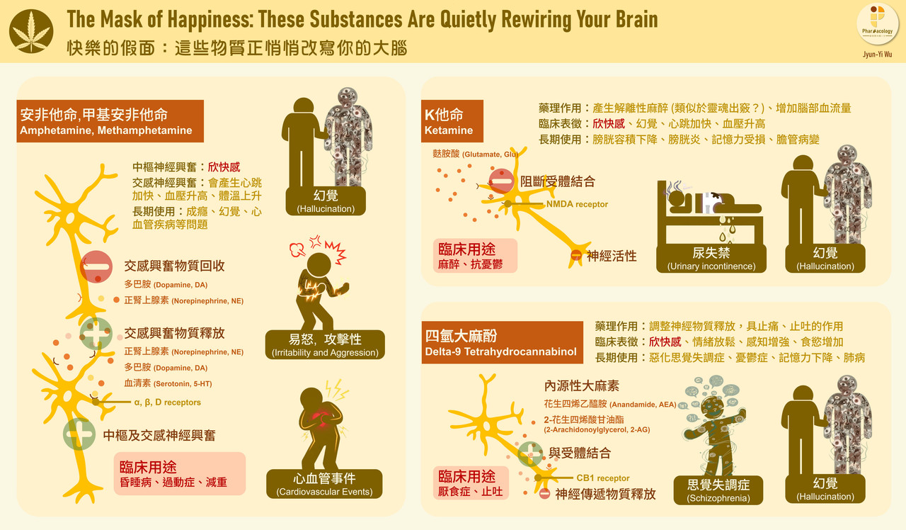 快樂的假面：這些物質正悄悄改寫你的大腦