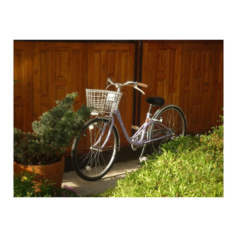 photo 5 2026 01 10 16 02 59