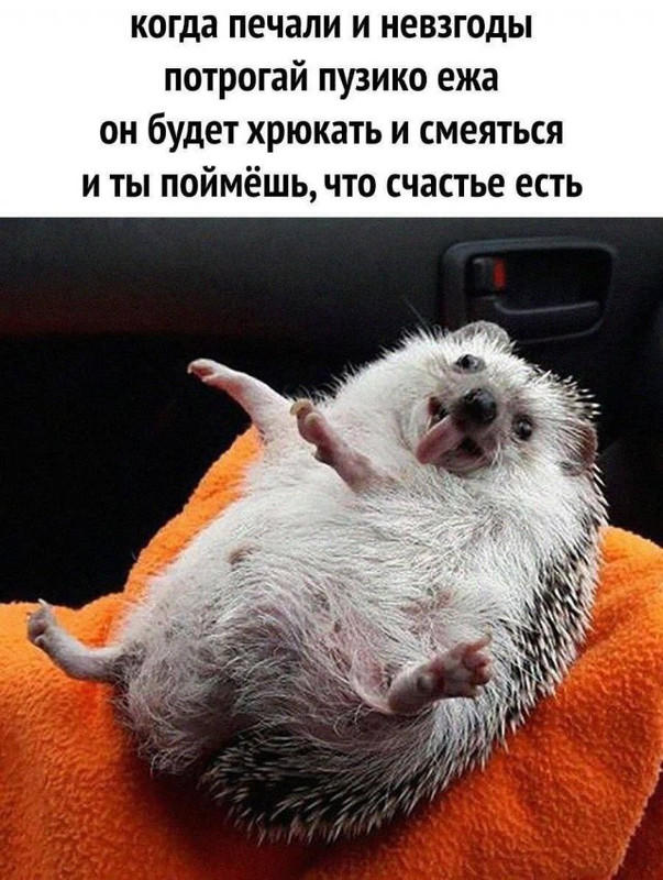 17190192.jpg