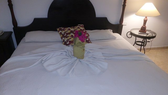 DIA 4 – HOTEL IBEROSTAR CORAL ENSENACHOS - Hotel Iberostar Selection Ensenachos (8)