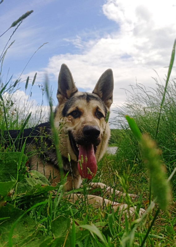 Q3mQkD1PYki0a6ZjcR664w2i-T7uJzVALMeu1bJzAsgqDo2EOV4fwY6xRK2y3IQcXHquFIvUz6DLlAn94xDZeK43