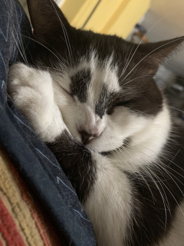 106C2633-6EE5-441F-86C1-C04415088720