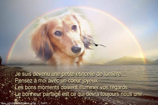 [Image: D-c-s-chien-3.jpg]