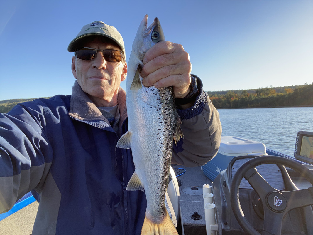 42E8D97F-2464-40D2-B8A8-B1EE9015129B