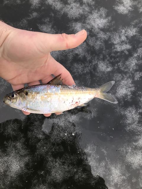 ACAA7FDC-F6CF-493D-B332-624EAE4BB2C4