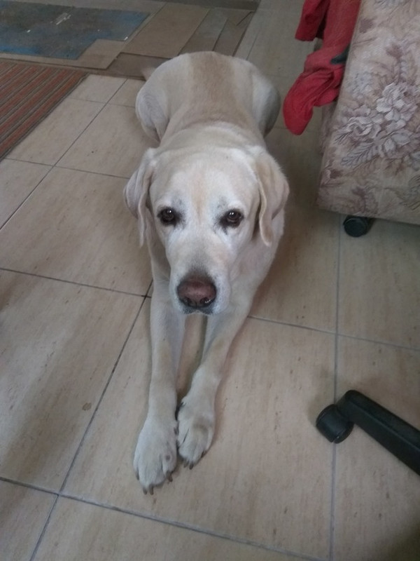 890521E2-FC27-4F25-9BF6-ADDA53148D52