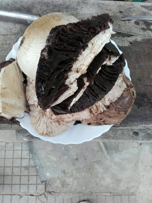 viber_изображение_2019-05-20_05-18-07