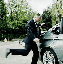 Single-Hairy-Ichneumonfly-size-restricte