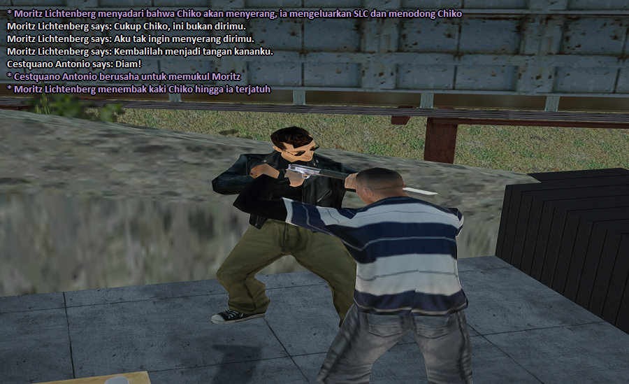 ss12.png