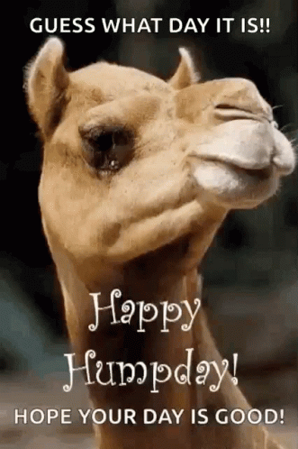 greeting-happy-humpday