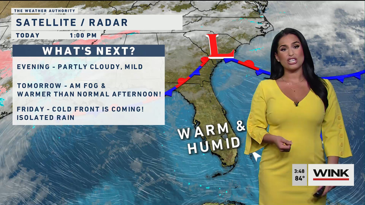 02.01 - 20.00.00 - WINK News at 3pm  ᴺᵉʷ..ts_snapshot_00.55.06.627