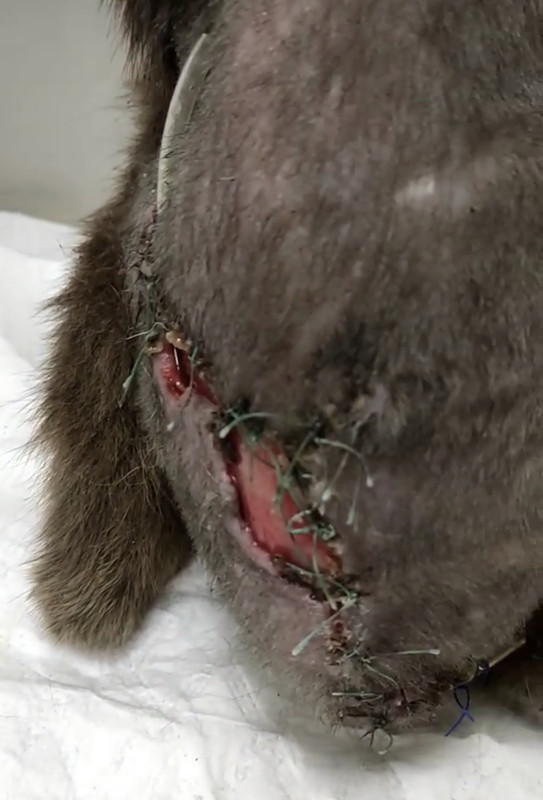 AB8C46E1-3225-4053-A20C-A4AAE5E81210